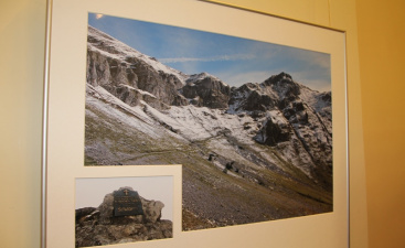 Выставка к 70-летию картины об Альпийском походе Суворова открылась в Новгородской области