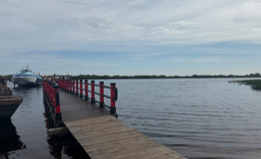 Сегодня в Великом Новгороде, Чудове и Старой Руссе проходит акция «Доступная рыба»